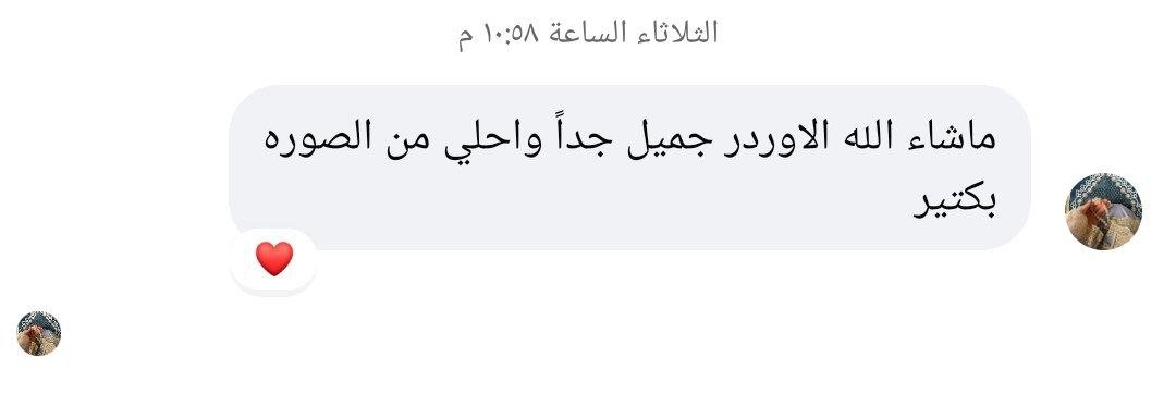 Customer Review Screenshot